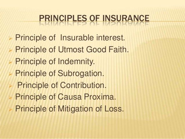 Principles Of Insurance Pdf